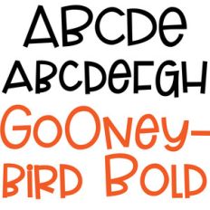 pn gooneybird bold