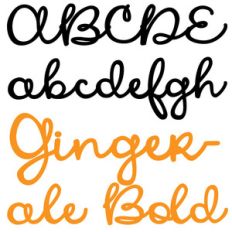 zp gingerale bold