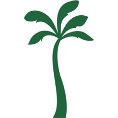 palm tree