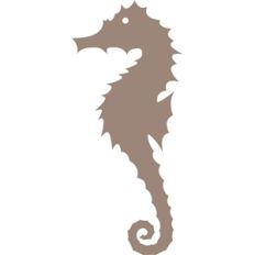 seahorse