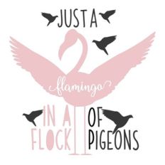 just a flamingo in a flock of pigeons