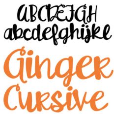 zp ginger cursive