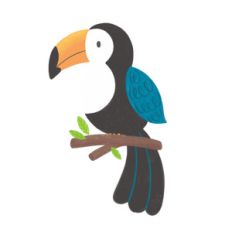 toucan