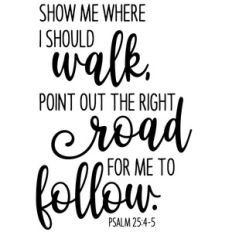 show me where i should walk