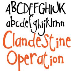 pn clandestine operation