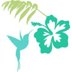 tropical hummingbird