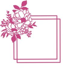 geometric frame