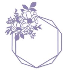 geometric frame