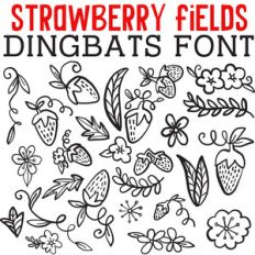 cg strawberry field dingbats