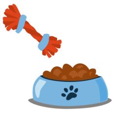 dog food and toy