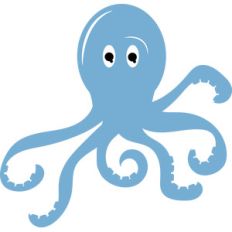 octopus