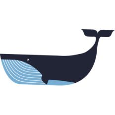whale