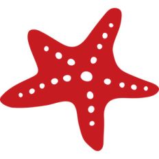 starfish
