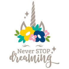 never stop dreaming