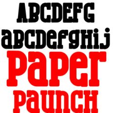 pn paper paunch