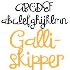pn galliskipper