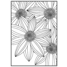 rectangle sunflower background