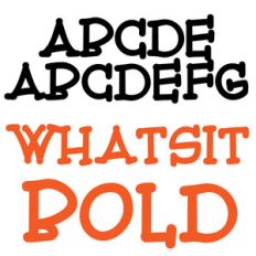 pn whatsit bold