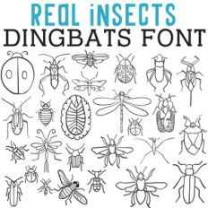 cg real insects dingbats