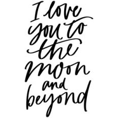 i love you to the moon and beyond