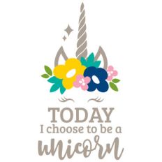 today i choose to be a unicorn