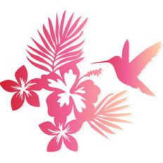 hummingbird flowers