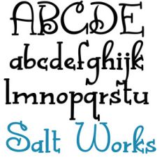 zp salt works