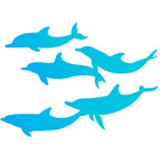 dolphin pod
