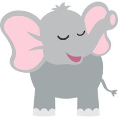 baby elephant