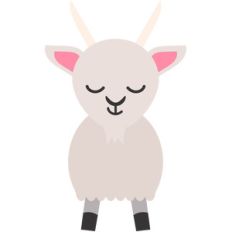 baby goat