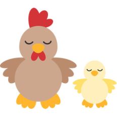 chicken and chick