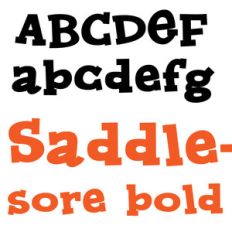 pn saddlesore bold