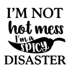 i am not a hot mess, i am spicy disaster
