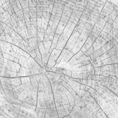 grey wood pattern