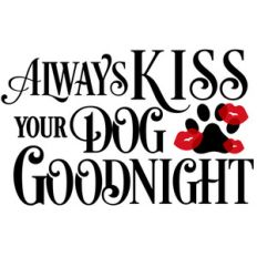 always kiss dog goodnight