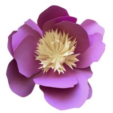 bowl of beauty 3d peony flower