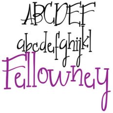 pn fellowney