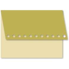 a2 basic envelope 3