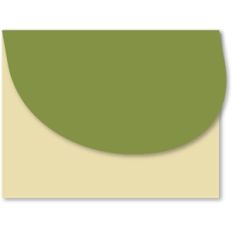 a2 basic envelope 4