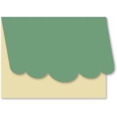 a2 basic envelope 5