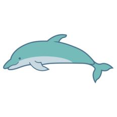 dolphin