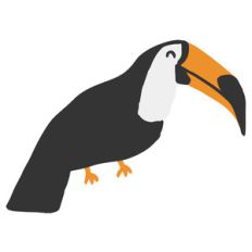 toucan