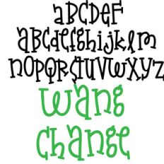 zp wang change