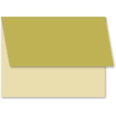 a2 basic envelope 8
