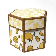 hexagonal explosion box
