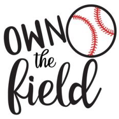 own the field baseball/softball