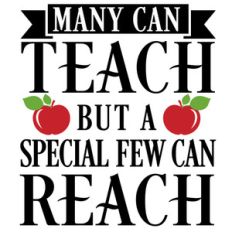 many teach special few reach