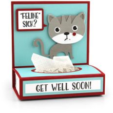 get well tissue wrap cat