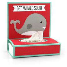 get well tissue wrap whale