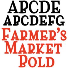 zp farmer's market bold